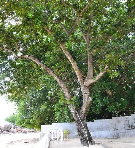 Riva D Etruschi Seychelles Hébergement de vacances